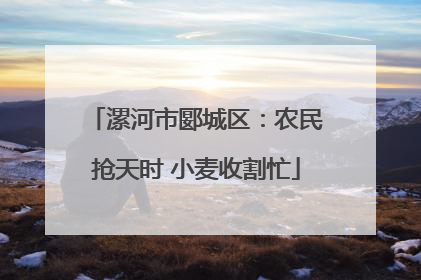 漯河市郾城区：农民抢天时 小麦收割忙
