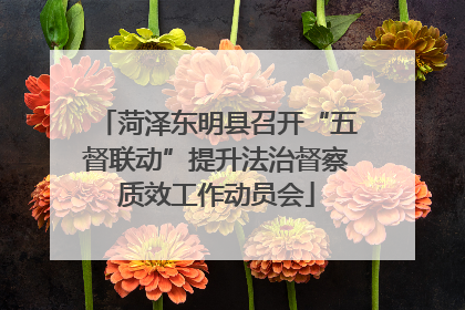 菏泽东明县召开“五督联动”提升法治督察质效工作动员会