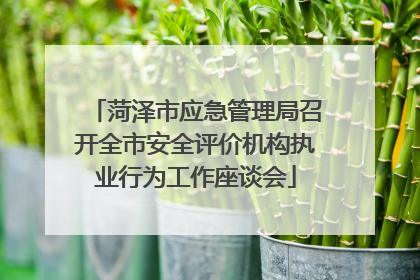 菏泽市应急管理局召开全市安全评价机构执业行为工作座谈会
