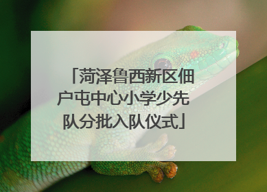 菏泽鲁西新区佃户屯中心小学少先队分批入队仪式