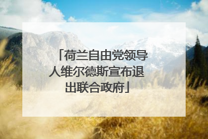 荷兰自由党领导人维尔德斯宣布退出联合政府
