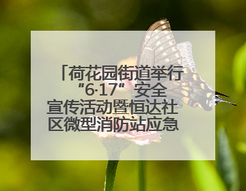 荷花园街道举行“6·17”安全宣传活动暨恒达社区微型消防站应急小分队启动式
