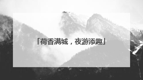 荷香满城，夜游添趣