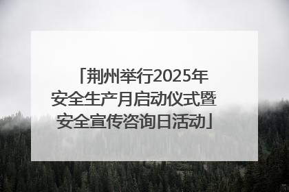 荆州举行2025年安全生产月启动仪式暨安全宣传咨询日活动