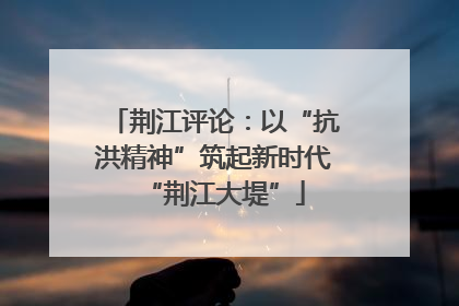 荆江评论：以“抗洪精神”筑起新时代“荆江大堤”