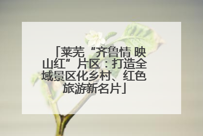 莱芜“齐鲁情 映山红”片区：打造全域景区化乡村、红色旅游新名片