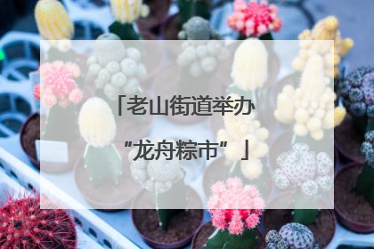 老山街道举办“龙舟粽市”