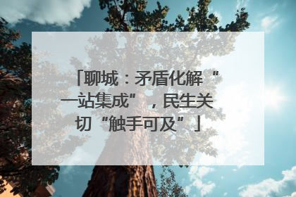 聊城：矛盾化解“一站集成”，民生关切“触手可及”