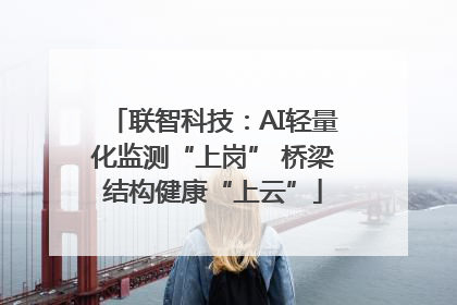 联智科技：AI轻量化监测“上岗” 桥梁结构健康“上云”