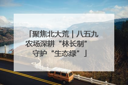 聚焦北大荒｜八五九农场深耕“林长制” 守护“生态绿”