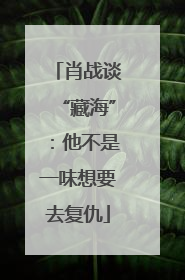 肖战谈“藏海”：他不是一味想要去复仇