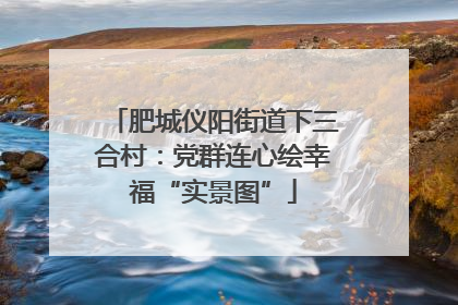 肥城仪阳街道下三合村：党群连心绘幸福“实景图”