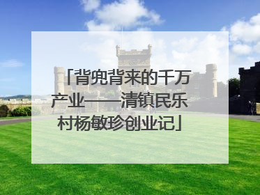 背兜背来的千万产业——清镇民乐村杨敏珍创业记