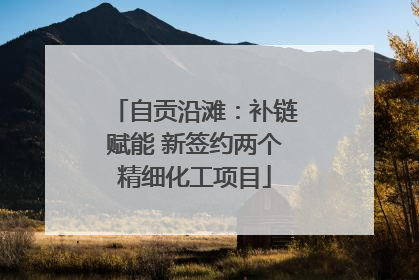 自贡沿滩：补链赋能 新签约两个精细化工项目
