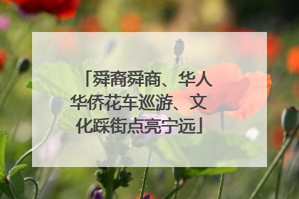 舜裔舜商、华人华侨花车巡游、文化踩街点亮宁远