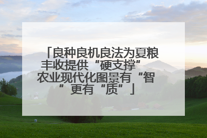 良种良机良法为夏粮丰收提供“硬支撑” 农业现代化图景有“智”更有“质”