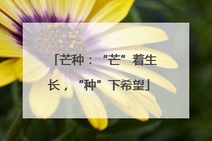 芒种：“芒”着生长，“种”下希望