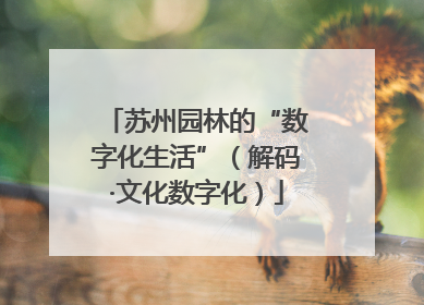 苏州园林的“数字化生活”（解码·文化数字化）