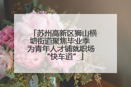 苏州高新区狮山横塘街道聚焦毕业季 为青年人才铺就职场“快车道”