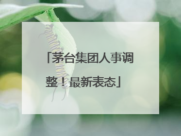 茅台集团人事调整！最新表态