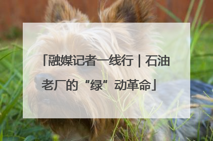 融媒记者一线行｜石油老厂的“绿”动革命