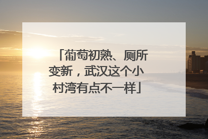 葡萄初熟、厕所变新，武汉这个小村湾有点不一样