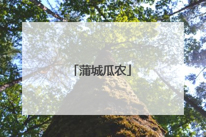 蒲城瓜农