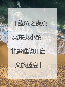 蓝莓之夜点亮东夷小镇 非遗雅韵开启文旅盛宴