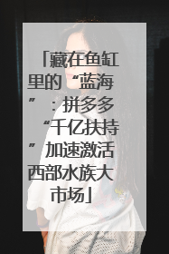 藏在鱼缸里的“蓝海”：拼多多“千亿扶持”加速激活西部水族大市场