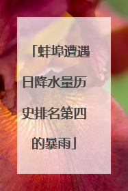 蚌埠遭遇日降水量历史排名第四的暴雨