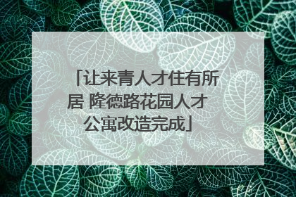 让来青人才住有所居 隆德路花园人才公寓改造完成