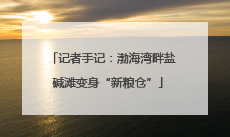 记者手记：渤海湾畔盐碱滩变身“新粮仓”