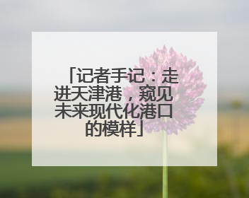 记者手记：走进天津港，窥见未来现代化港口的模样