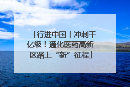 行进中国丨冲刺千亿级！通化医药高新区踏上“新”征程