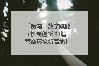 衡南：数字赋能+机制创新 打造营商环境新高地
