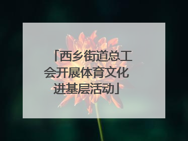 西乡街道总工会开展体育文化进基层活动