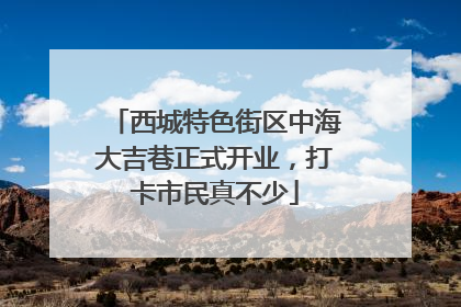 西城特色街区中海大吉巷正式开业，打卡市民真不少
