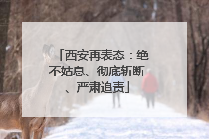 西安再表态：绝不姑息、彻底斩断、严肃追责