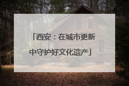 西安：在城市更新中守护好文化遗产