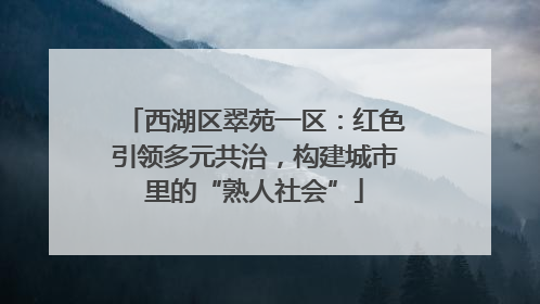 西湖区翠苑一区：红色引领多元共治，构建城市里的“熟人社会”