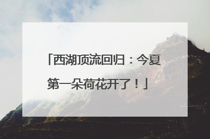 西湖顶流回归：今夏第一朵荷花开了！