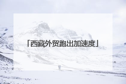 西藏外贸跑出加速度