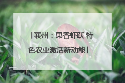 襄州：果香虾跃 特色农业激活新动能