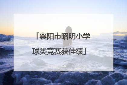 襄阳市昭明小学球类竞赛获佳绩