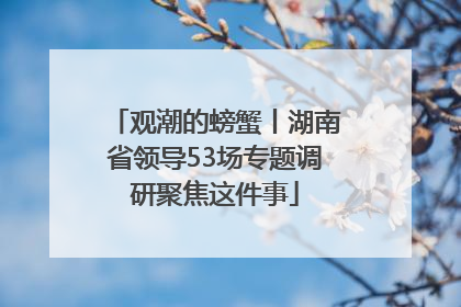 观潮的螃蟹丨湖南省领导53场专题调研聚焦这件事