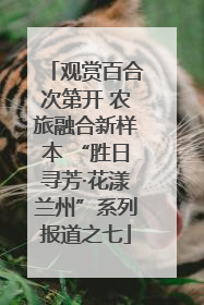 观赏百合次第开 农旅融合新样本 “胜日寻芳·花漾兰州”系列报道之七