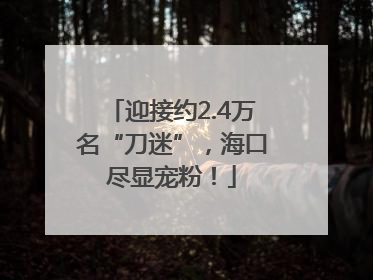 迎接约2.4万名“刀迷”，海口尽显宠粉！