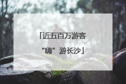 近五百万游客“嗨”游长沙