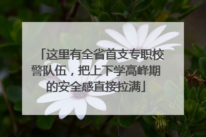 这里有全省首支专职校警队伍，把上下学高峰期的安全感直接拉满