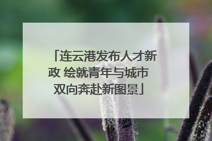 连云港发布人才新政 绘就青年与城市双向奔赴新图景
